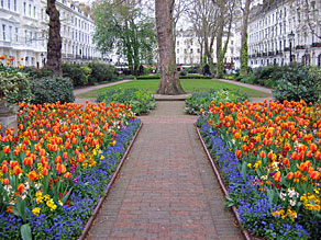 A View of Norfolk Square